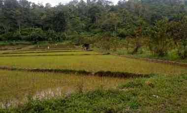 Tanah Dijual di Tawangmangu