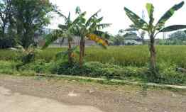 Murahh Tanah untuk Pabrik atau Gudang Akses Kontainer