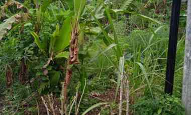 tanah luas 18 ha di batu putu bandar lampung