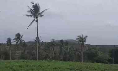 Tanah Dijual di Desa Ketapang, Lampung Selatan