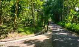 Tanah Luas Barat Pasarb Kembang