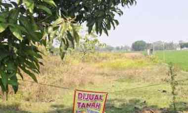 Tanah Luas Depan Akses Jalan Raya
