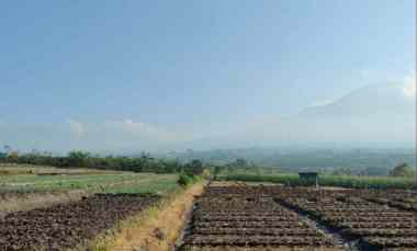 Tanah Luas Strategis dengan Udara Asri di Kota Batu