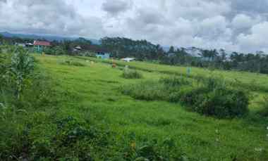 Tanah Luas Super Strategis Murah di Kepanjen Malang