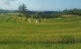 Tanah Murah View Sawah Laut 4300 m2 di Lumbung Selemadeg Tabanan