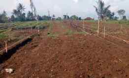 Tanah Matang Strategis Bisa Cicil ke Developer