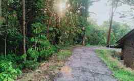 Jual Tanah Tegal Matesih Karanganyar