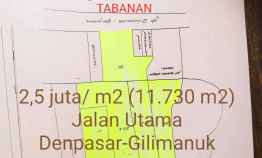 Tanah Dijual Pinggir Jalan Utama Denpasargilimanuk di Tabanan Bali