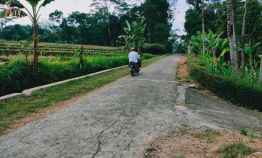 Dijual Kebun Sengon 1995m2 Mojogedang Karanganyar