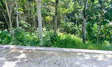 Tanah Dijual di Mojogedang, Karanganyar, Solo, Jawa Tengah