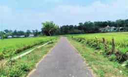 Jual Tanah Cocok untuk Villa Mojogedang Karangpandan Karanganyar