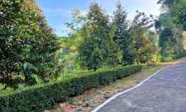 Dijual Tanah Kebun Durian Mojogedang Karanganyar
