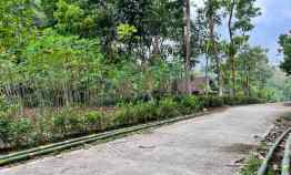 Tanah Kebun Durian 1000m Mojogedang Karanganyar