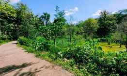 Dijual Tanah Super Murah di dekat Pasar Mojogedang Karanganyar