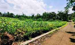 Dijual Tanah 5000m2 Karanganyar