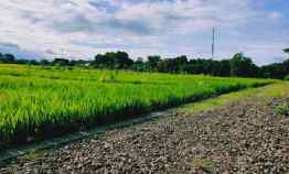 Tanah Idaman View Kebun Teh Kemuning Ngargoyoso Karanganyar
