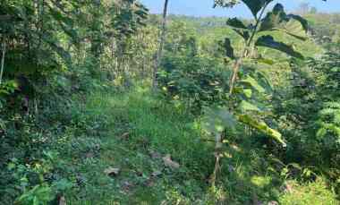 Tanah Murah 2040 hanya 100 juta Sragen