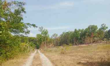 Tanah Dijual di Sukodono, Sragen