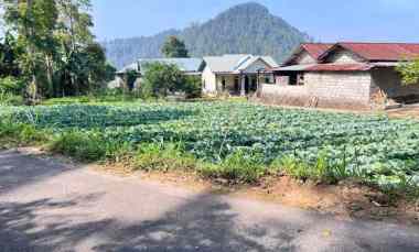 Tanah Murah 505m 350 juta Kawasan Wisata Karanganyar