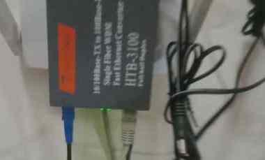 Tanah Murah Bonus Pohon Jati