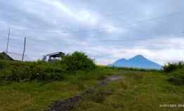 Tanah Dijual di 9GHG 99J, Dusun Watutumang, Candiwatu, Kec. Pacet, Kabupaten Mojokerto, Jawa Timur 61374