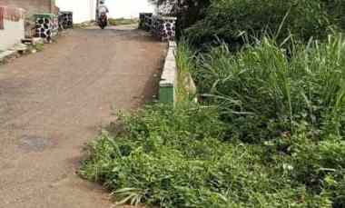 Tanah Murah Dramaga Bogor dekat Bulog Kampus IPB