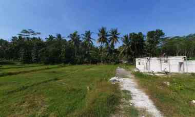 Tanah Dijual di Jl. Nanggulan Sentolo, Kulonprogo