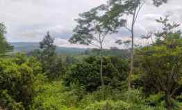 Tanah Murah Lokasi Ciherang Sukamakmur