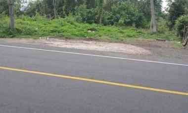 tanah murah pinggir jalan raya