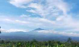 Tanah Dijual di Jl ry Gegerbitung cijeruk