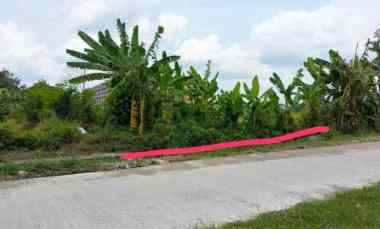 Tanah Murah Sleman Strategis dekat Stadion Maguwoharjo