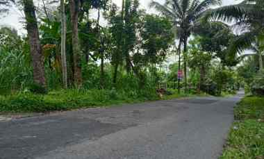 Tanah Murah Strategis Pinggir Jalan Aspal