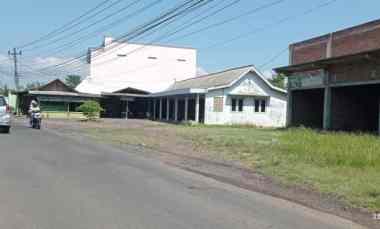 Tanah Murah Ukuran Jumbo di Rowosari