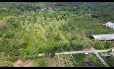 Tanah Murah untuk Pabrik atau Rumah Sakit