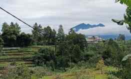 Tanah Dijual di Megamendung Puncak Bogor