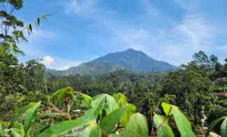 Jual Kavling Murah Bandung Wisata Ciwidey