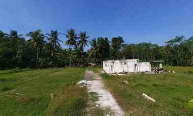 Tanah Naggulan Kulonprogo Dijual 80 Jutaan