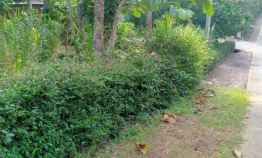 Tanah Kebun Durian Mojogedang Karanganyar