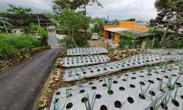 Dijual Tanah di Kemuning Ngargoyoso Karanganyar