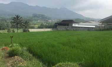 Tanah Nol Jalan Propinsi Area Ngantang Malang