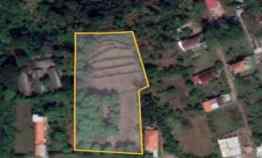 Tanah Nol Jalan Raya Trawas Bisa Dibangun Rumah, Villa, Pergudangan