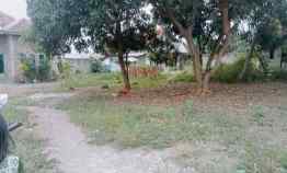 Tanah Padat dan Rata di Tengah Pemukiman