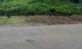 Tanah Padat Strategis Pinggir Jln Raya