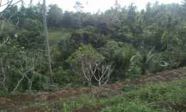 Tanah Dijual View Sawah Sungai di Pantai Soka Selemadeg Tabanan Bali