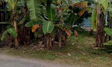 Tanah Pekarangan 0 Jln Paving