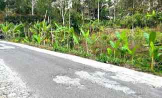 Tanah Pekarangan 2452m Ngargoyoso Karanganyar