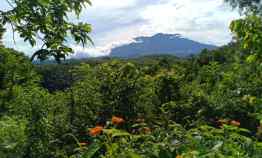 Tanah Dijual di Mojogedang, Karanganyar, Solo, Jawa Tengah