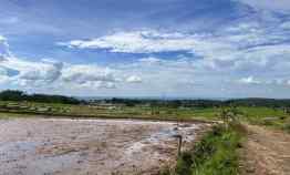 Tanah Dijual di Kerjo, Karanganyar, Jawa Tengah