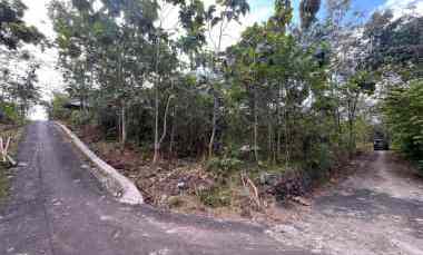 Tanah Pekarangan Dua Sisi Murah