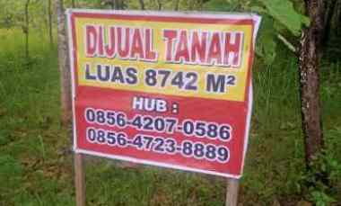 Tanah Pekarangan Lebar 30 an meter Murah